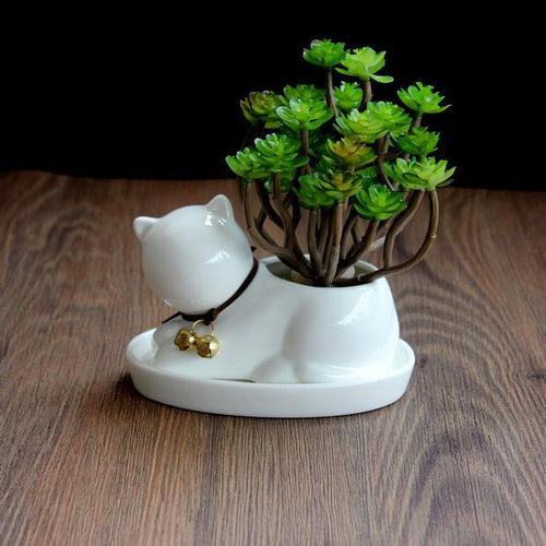 Minimalist Ceramic Cat Planter - Adorable Desktop Succulent Pot